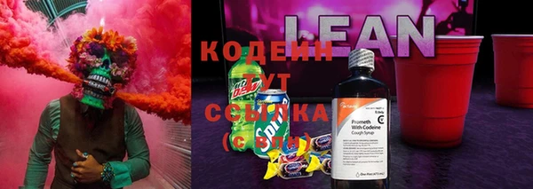 трава Наволоки