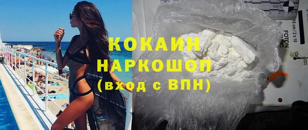 трава Наволоки