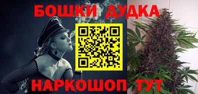 стафф Дубна