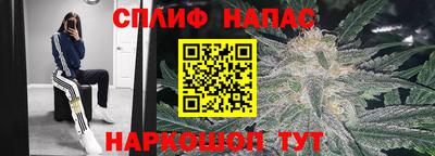 дмт Донецк