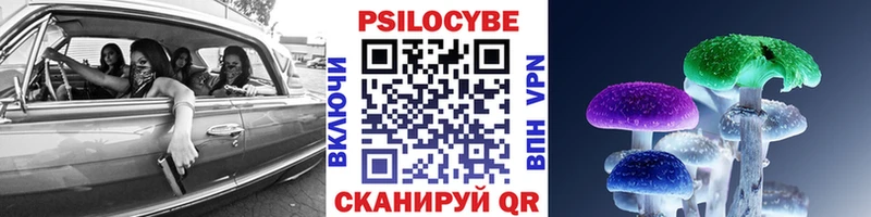 Галлюциногенные грибы прущие грибы  где найти   Лосино-Петровский 