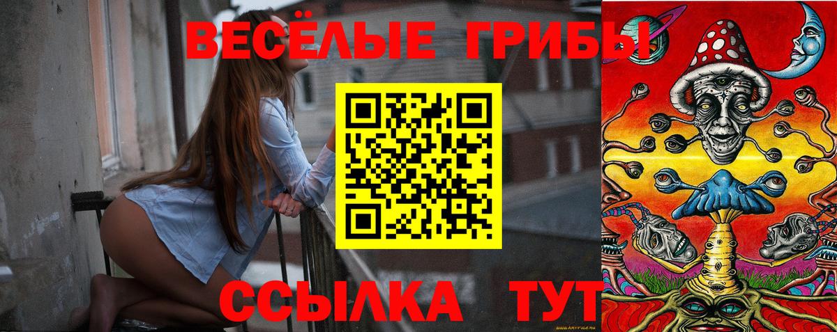 Псилоцибиновые грибы MAGIC MUSHROOMS Лосино-Петровский