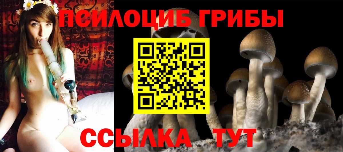 Лосино-Петровский  Псилоцибиновые грибы Magic Shrooms  Вход с VPN  Псилоцибиновые грибы GOLDEN TEACHER 